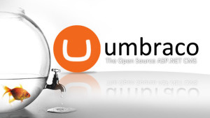 umbraco-cms-01